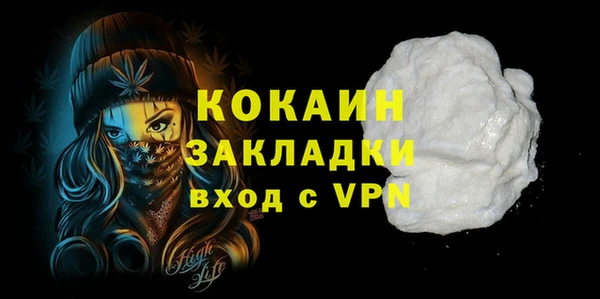 хмурый Алзамай