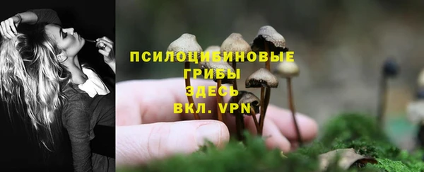 эйфоретик Абаза