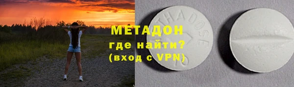 стаф Тайга