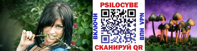 Галлюциногенные грибы мицелий  Нижневартовск 