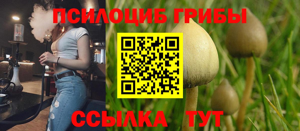 Псилоцибиновые грибы Magic Shrooms  Вход с VPN  Нижневартовск  Галлюциногенные грибы Magic Shrooms 